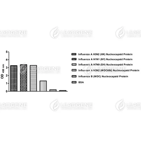 ELISA assay of Anti-Influenza A virus NP Antibody [clone IA03]