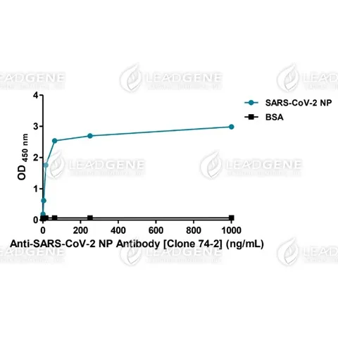 Anti-SARS-CoV-2 NP Antibody [Clone 74-2]