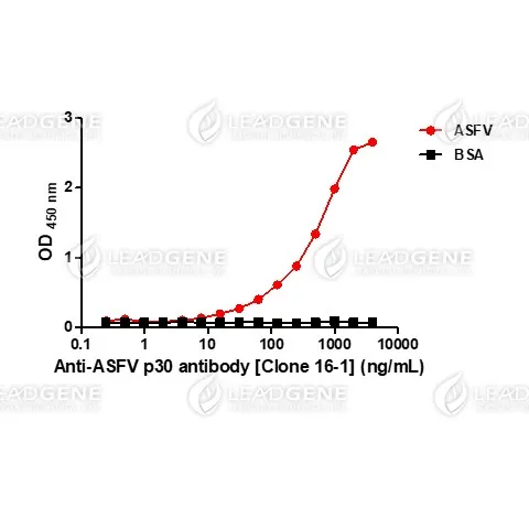 Anti-African Swine Fever Virus (ASFV) p30 Antibody [Clone 16-1]