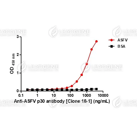 Anti-African Swine Fever Virus (ASFV) p30 Antibody [Clone 18-1]