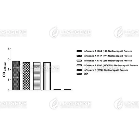 Anti-Influenza A Virus NP Antibody [Clone IA05]