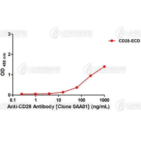 Anti-CD28 Antibody [Clone 0AA01]