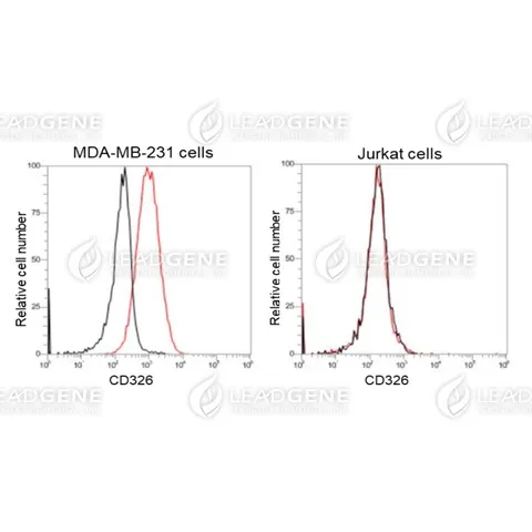 Flow Cytometry analysis of anti-CD326 mAb MDA-MB-231 and Jurkat cells were stained with mouse anti-human CD326 monoclonal antibody at 1 μg/ml (red) and without antibody control (black).