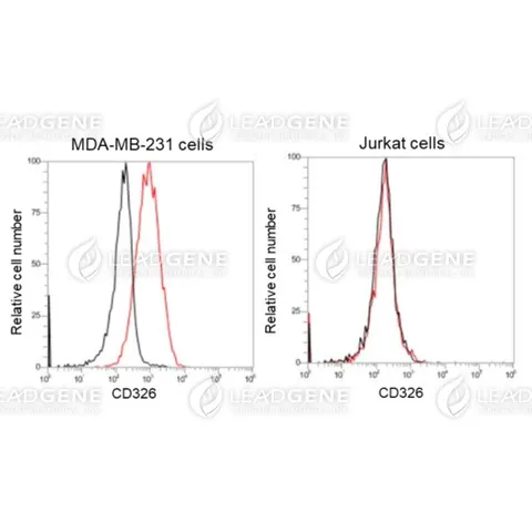 Flow Cytometry analysis of anti-CD326 mAb MDA-MB-231 and Jurkat cells were stained with mouse anti-human CD326 monoclonal antibody at 1 μg/ml (red) and without antibody control (black).