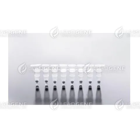 LEADSPHERE® One-Step RT-PCR Master Mix (LDG0027RF) | Leadgene