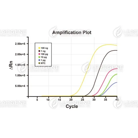 Amplification of input RNA template in RT-qPCR assay. NTC: no template control