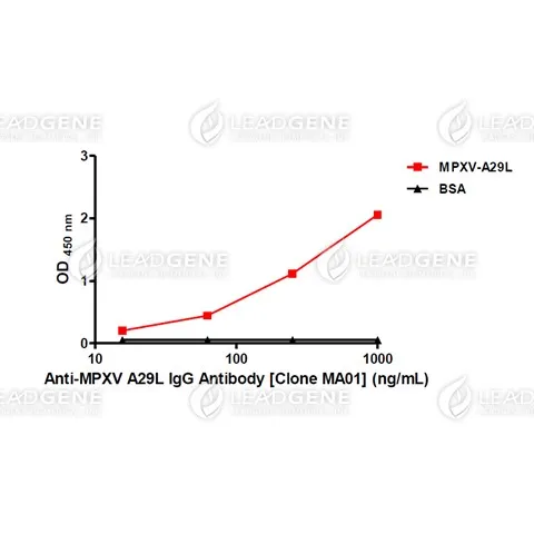 Anti-MPXV A29L IgG Antibody [Clone MA01]