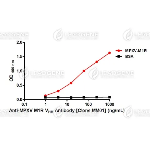 Anti-MPXV M1R VHH Antibody [Clone MM01]