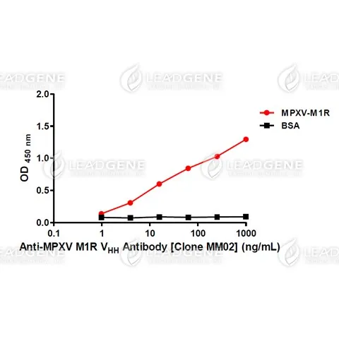 Anti-MPXV M1R VHH Antibody [Clone MM02]