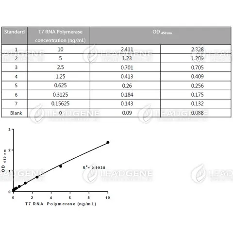 T7 RNA Polymerase ELISA Kit