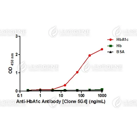 Anti-HbA1c Antibody [Clone 5G4]