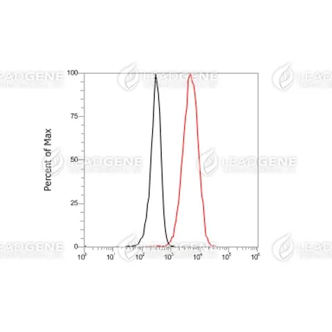 Anti-CD9 Antibody [Clone 9-1]
