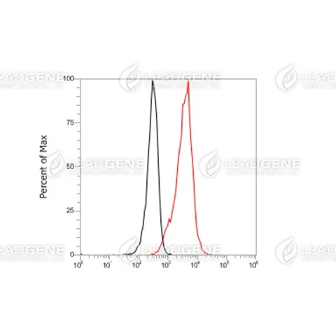 Anti-CD63 Antibody [Clone 6-3]