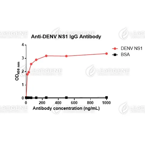 Anti-DENV NS1 IgG Antibody