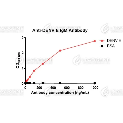 Anti-DENV E IgM Antibody