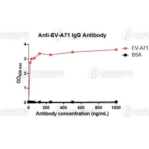 Anti-EV-A71 VP1 IgG Antibody