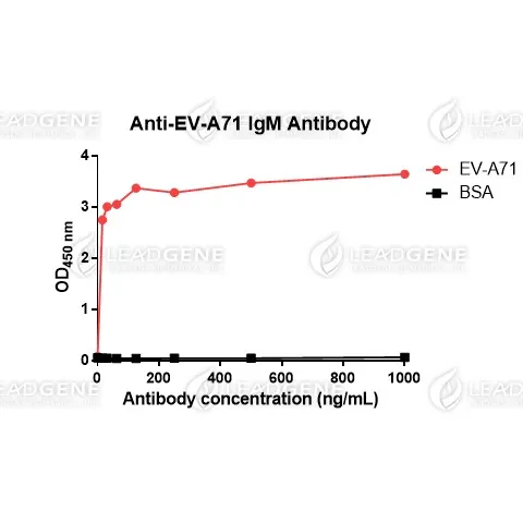 Anti-EV-A71 VP1 IgM Antibody