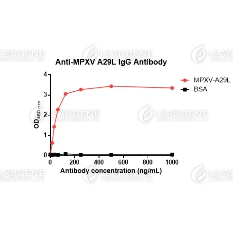 Anti-MPXV A29L IgG Antibody