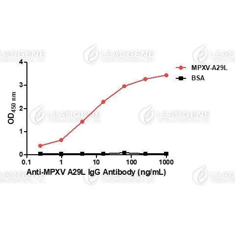 Anti-MPXV A29L IgG Antibody