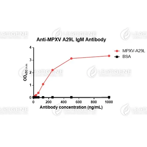 Anti-MPXV A29L IgM Antibody