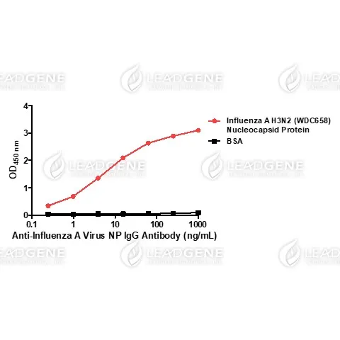 Anti-Influenza A Virus NP IgG Antibody