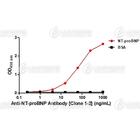 Anti-NT-proBNP Antibody [Clone 1-2]