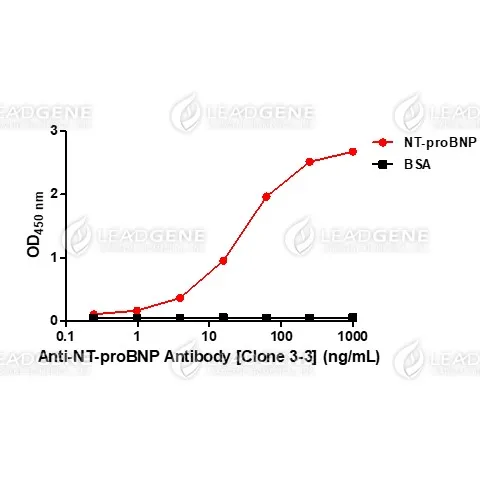 Anti-NT-proBNP Antibody [Clone 3-3]