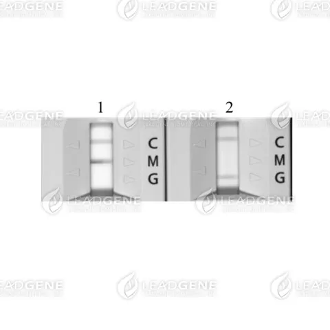 Anti-Flavivirus E IgG Antibody