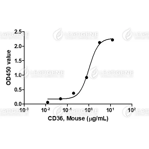 Mouse CD36, His Tag, CHO