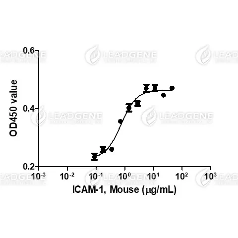 Mouse ICAM-1, His Tag, CHO