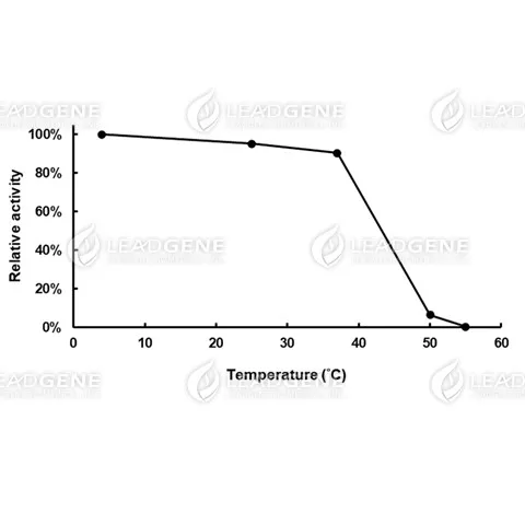 Thermal stability of Diaphorase. The enzyme powder was reconstituted by double-distilled water and treated with different temperature for 30 minutes. Final concentration: 48 U/ mL.