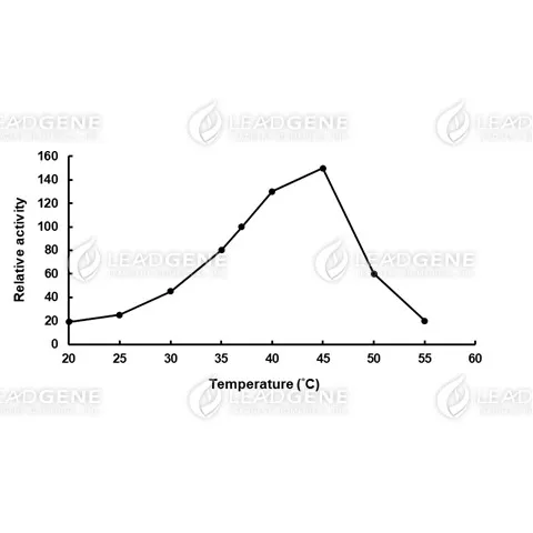 Temperature activity of Cholesterol esterase. The enzyme reactions in 0.1 M Sodium acetate buffer, pH 5.5, were carried out under different temperature.