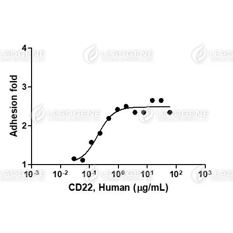 Human CD22, His Tag, HEK293