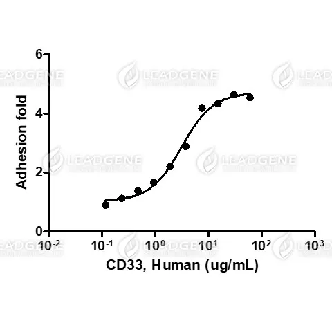 Human CD33, His Tag, HEK293