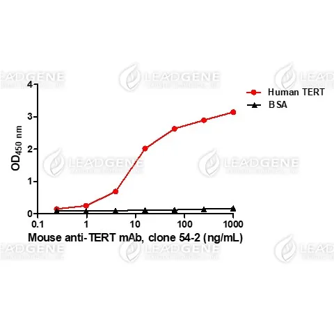 ELISA: Titration curve of anti-TERT antibody in ELISA. Red: Human TERT; Black: BSA (negative control).