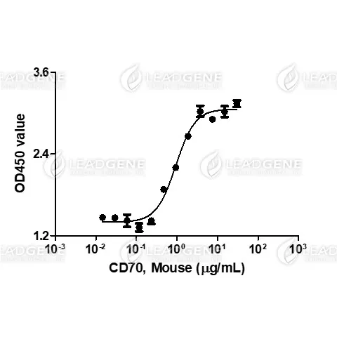 Mouse CD70, His Tag, CHO