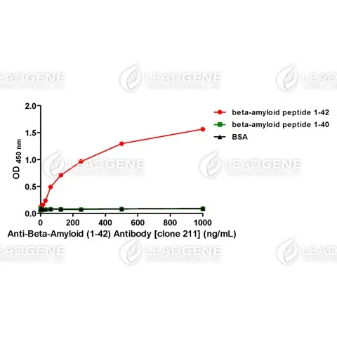 Anti-Beta Amyloid (1-42) Antibody [Clone 211]
