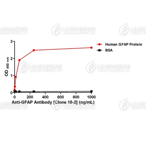 Anti-GFAP Antibody [clone 10-2]