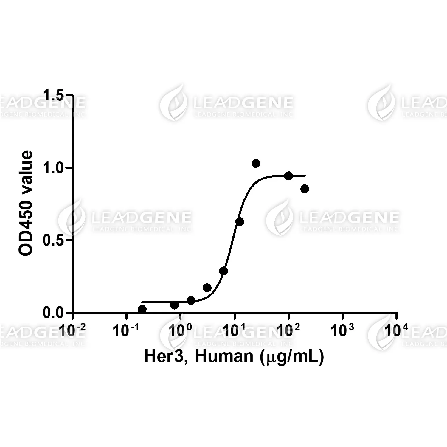 Human Her3, His Tag, CHO