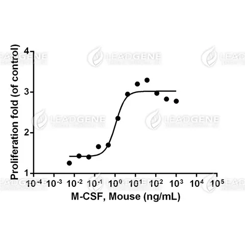 Mouse M-CSF, His Tag, CHO