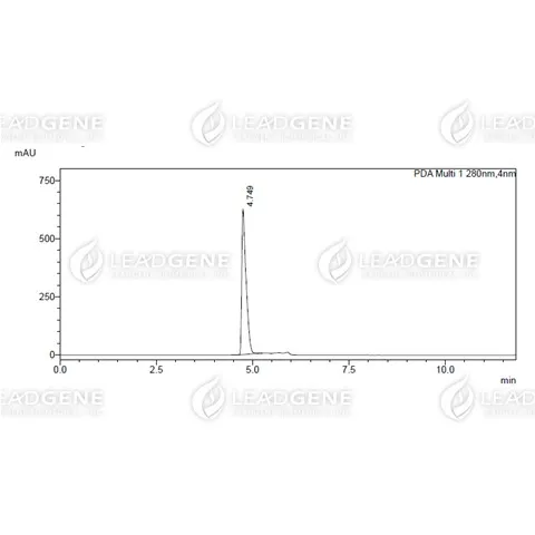 Human CD10, His Tag, CHO