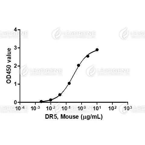 Activity analysis of recombinant Mouse DR5, His Tag, CHO. Measured by its ability to bind human TRAIL in functional ELISA. Immobilized Recombinant human TRAIL Protein at 10 μg/mL (100 μL/well) can bind Recombinant Mouse DR5 Protein.