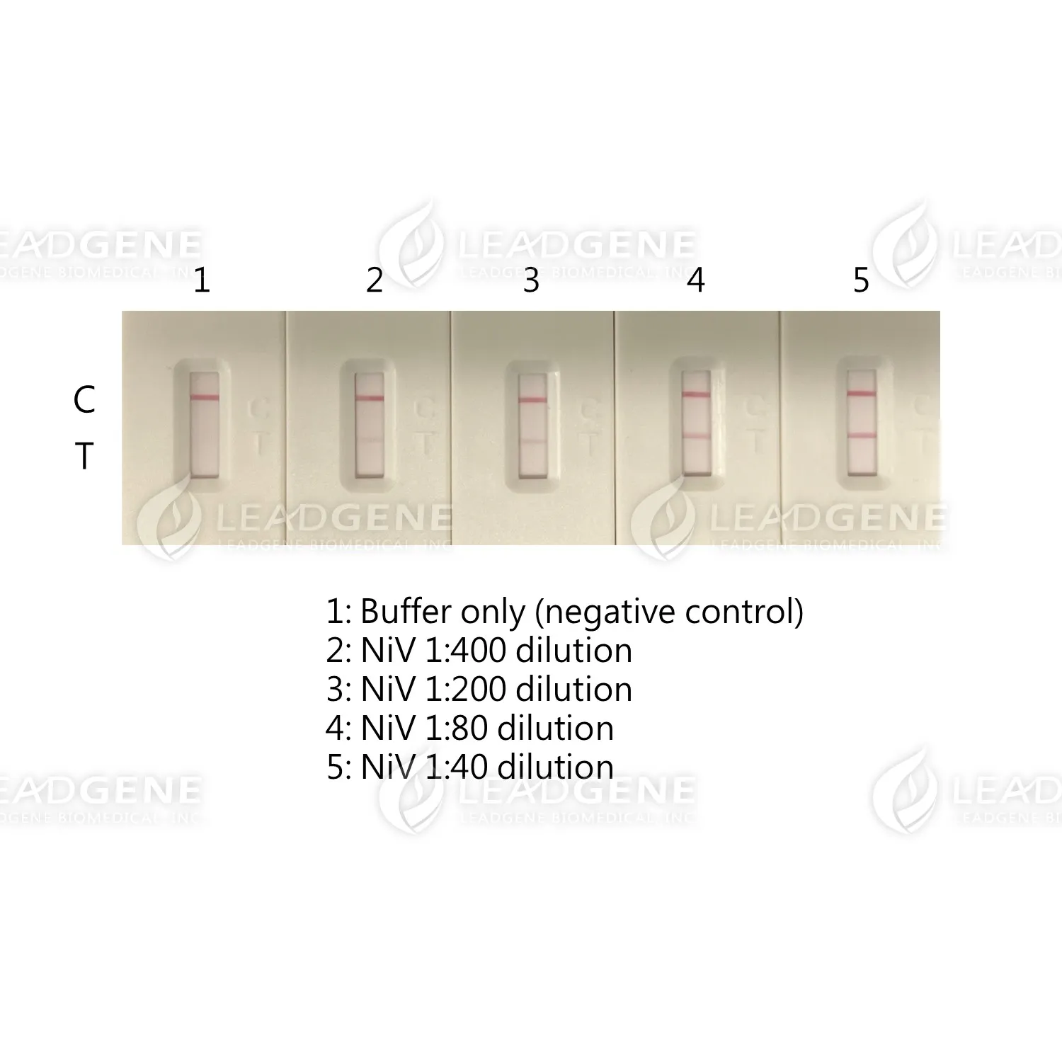 Nipah Virus Antigen Rapid Test Kit (25T/Box)