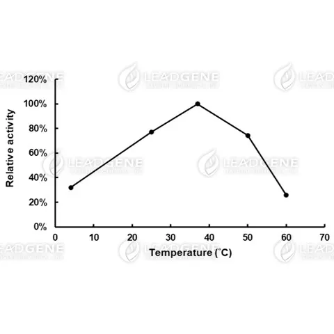 Temperature activity of LOX. The enzyme reactions in 20 M K-Phosphate buffer, pH 7.5, were carried out under different temperatures.