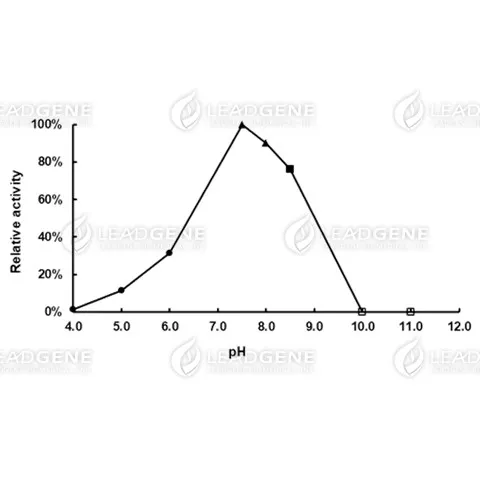 pH activity of LOX. The buffer conditions with various pH values were used in the reaction at 37°C. pH 4.0-6.0, 0.1 M Sodium citrate buffer; pH 7.5-8.0, 0.1 M Potassium phosphate buffer; pH 8.5, 0.1 M Tris-HCl buffer; pH 10.0-11.0, 0.1 M Carbonate-bicarbonate buffer.