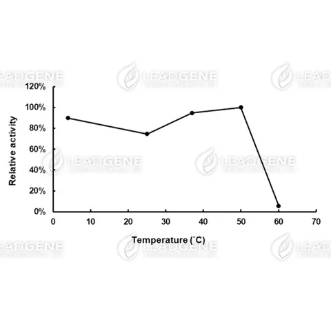 Thermal stability of LOX. The enzyme was treated at different temperatures for 10 minutes. Final concentration: 10 U/mL