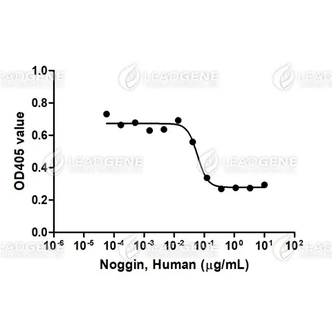 Human Noggin, Fc Tag, CHO