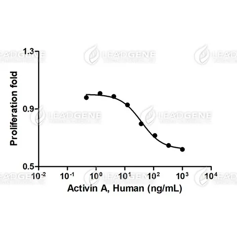 Human Latent Activin A, His Tag, CHO