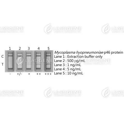 Mycoplasma hyopneumoniae Antigen Rapid Test (Uncut Sheet)