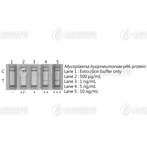 Porcine Mycoplasma Hyopneumoniae Antigen Rapid Test Kit (10 strips)